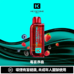 鑰石 25000口 換彈式【買一顆蛋送一隻專用主機】【超大口數＋可視油倉＋1100毫安超大電池】：圖片 9